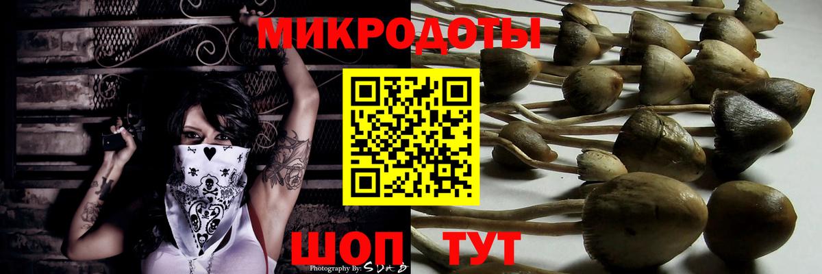 Светлоград  Галлюциногенные грибы Psilocybine cubensis  Вход с VPN  Псилоцибиновые грибы Psilocybine cubensis 